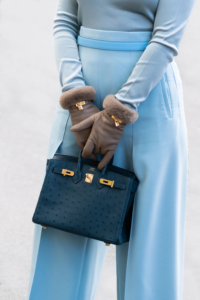 Blue Birkin Bag Everything You Need to Know About it