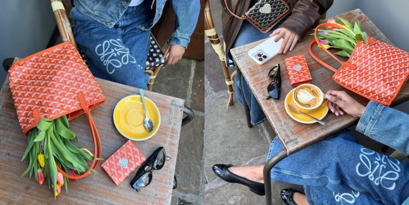 Goyard Bag Prices 2026 in USD & EUR + Latest Price Increase anjou mini bag price